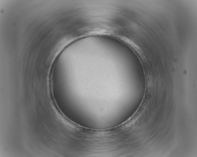 X0000076401423200610161154