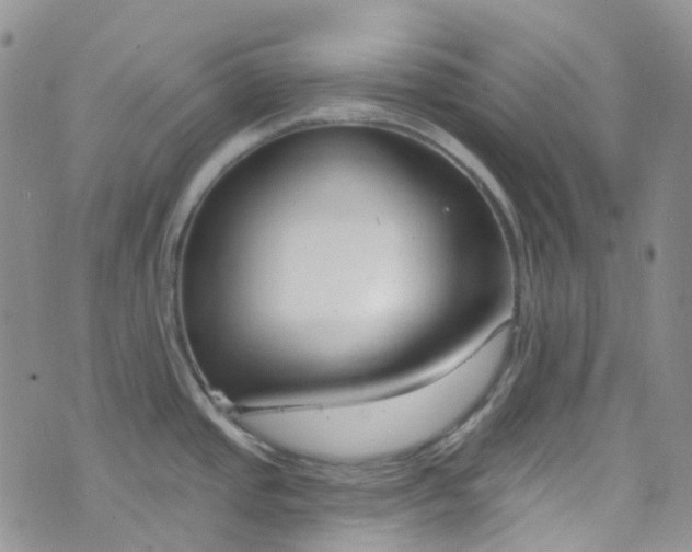X0000076401437200610161154