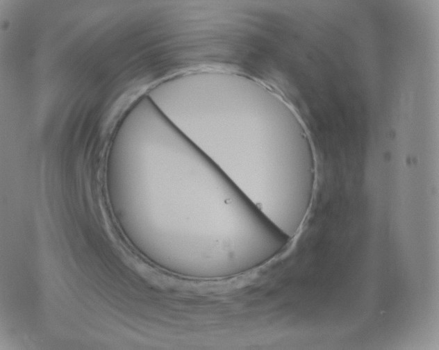 X0000076400001200610202142