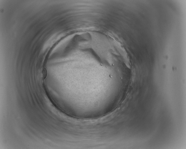 X0000076400002200610202141