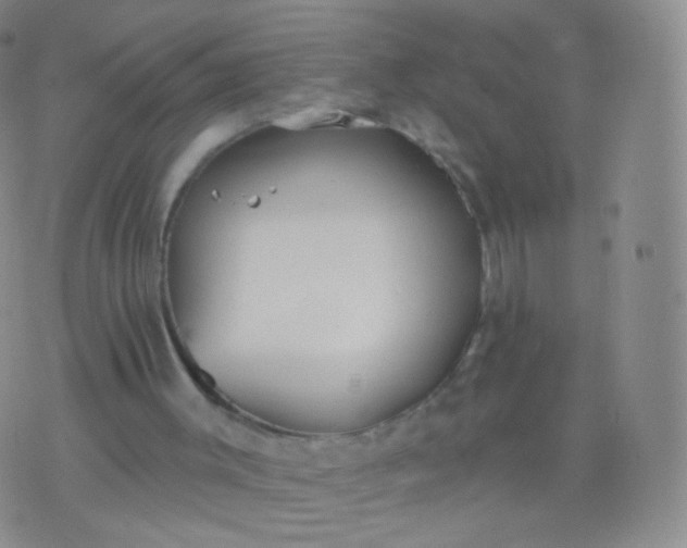 X0000076400003200610202141