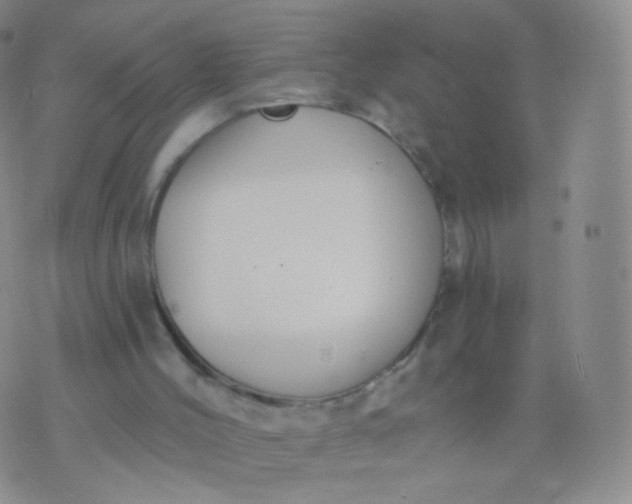 X0000076400004200610202141