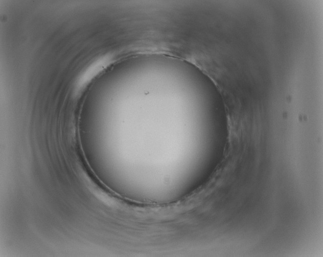 X0000076400005200610202141