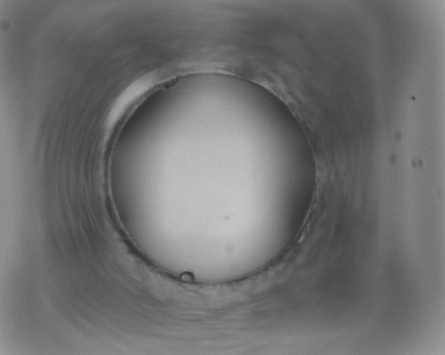 X0000076400006200610202141