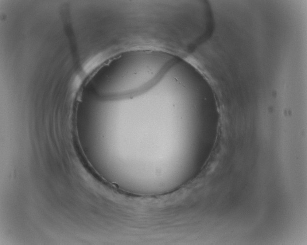 X0000076400007200610202141