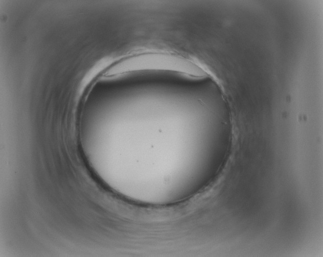 X0000076400008200610202141