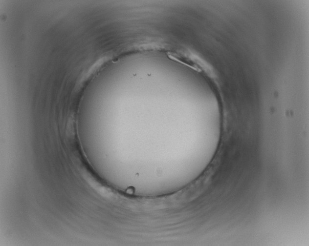 X0000076400009200610202141