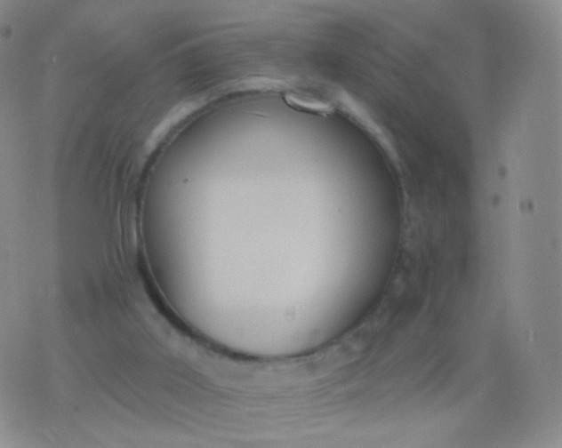 X0000076400011200610202141