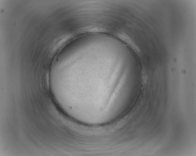 X0000076400014200610202141