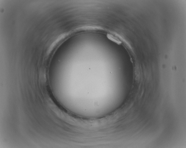 X0000076400015200610202141