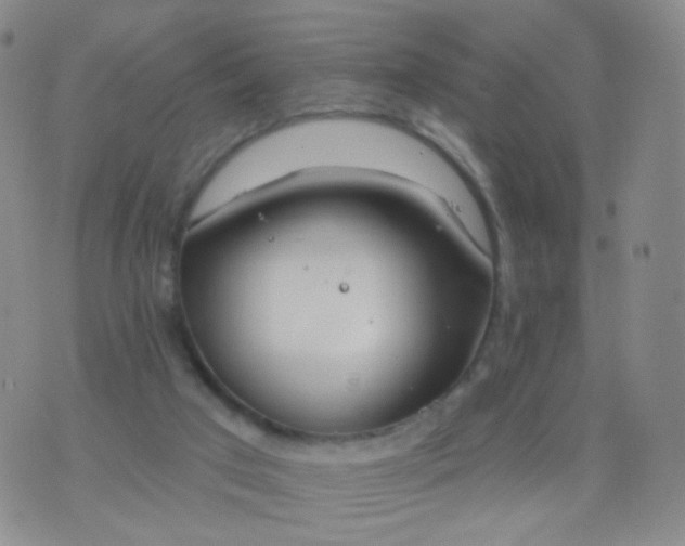 X0000076400017200610202141