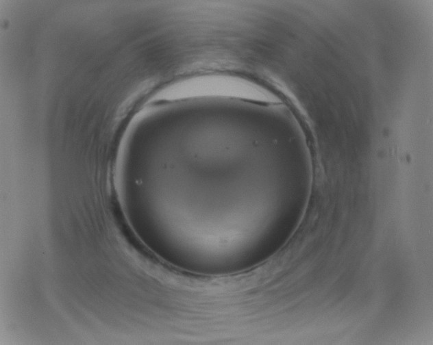 X0000076400019200610202141