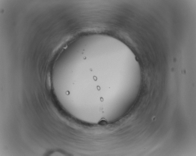 X0000076400020200610202141