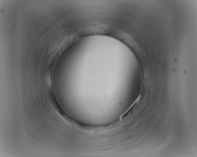 X0000076400021200610202141