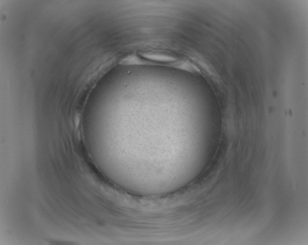 X0000076400022200610202141