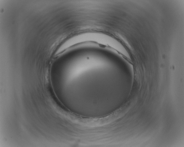 X0000076400023200610202141