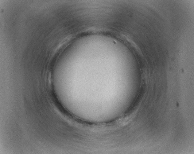 X0000076400024200610202141