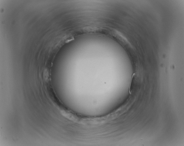 X0000076400025200610202141