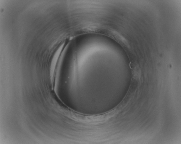 X0000076400027200610202141