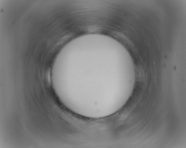 X0000076400028200610202141