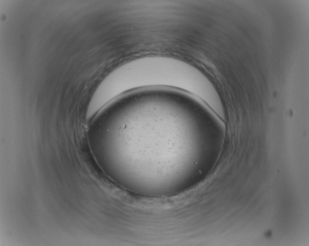 X0000076400029200610202141