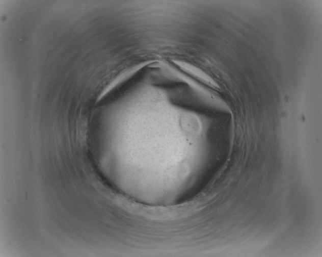 X0000076400030200610202141