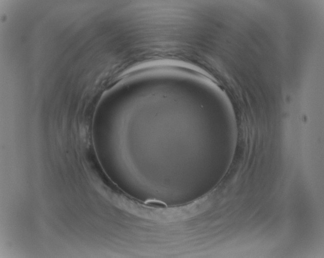 X0000076400031200610202141