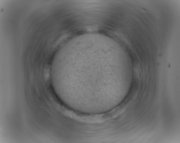 X0000076400032200610202141