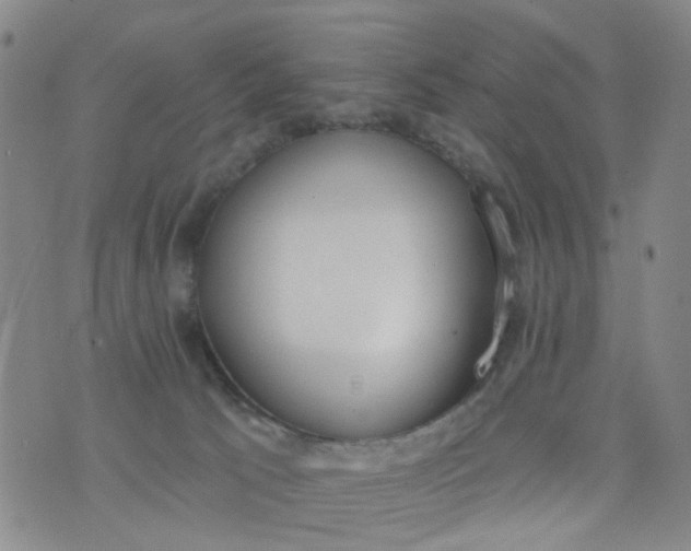 X0000076400033200610202141