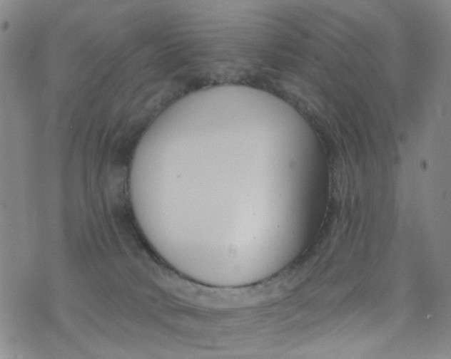 X0000076400034200610202141