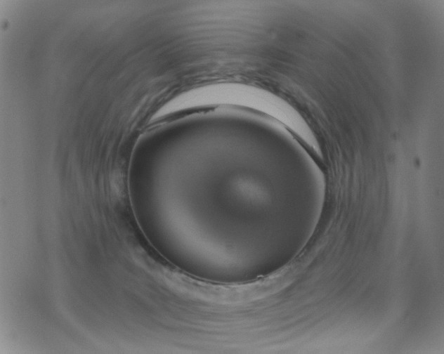 X0000076400035200610202141