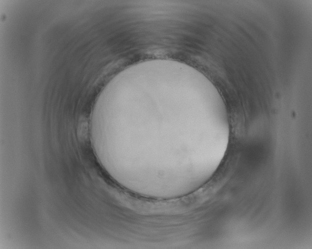 X0000076400036200610202141