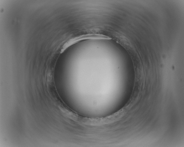 X0000076400037200610202141