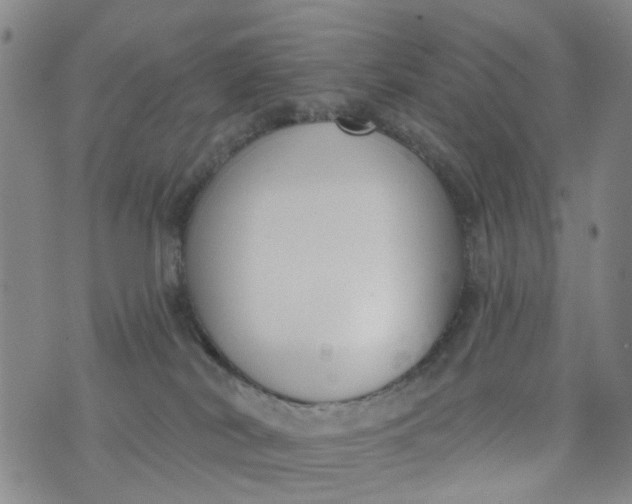 X0000076400038200610202141