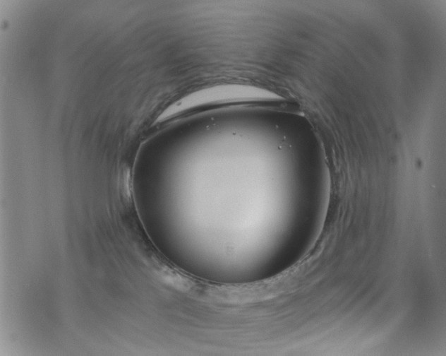 X0000076400041200610202141