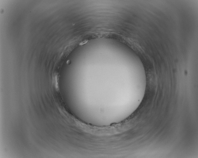 X0000076400042200610202141