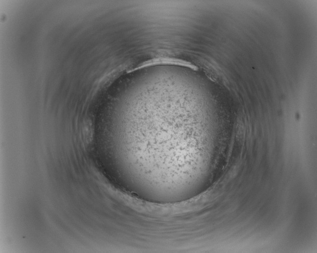 X0000076400043200610202141