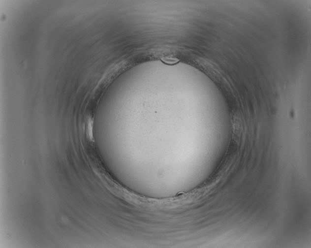 X0000076400046200610202141