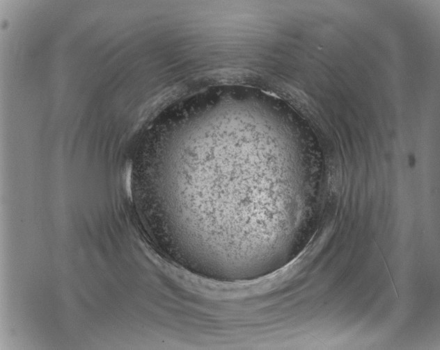 X0000076400047200610202141