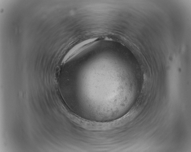 X0000076400048200610202141