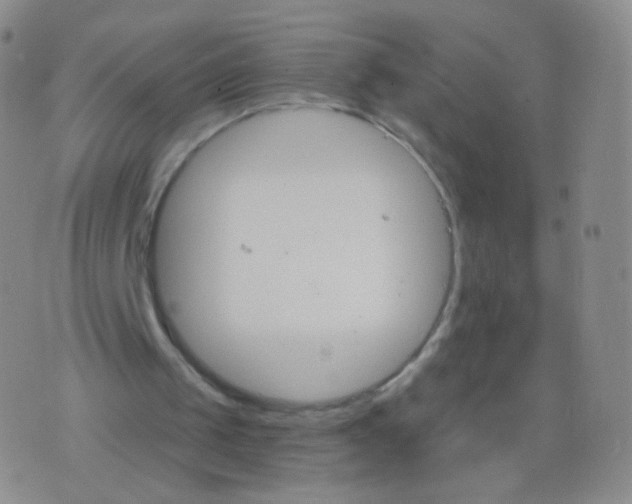 X0000076400049200610202140