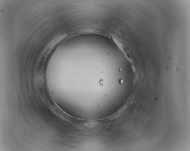 X0000076400050200610202140