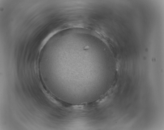 X0000076400052200610202140