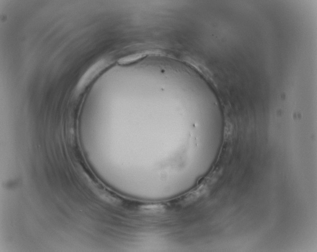 X0000076400053200610202140