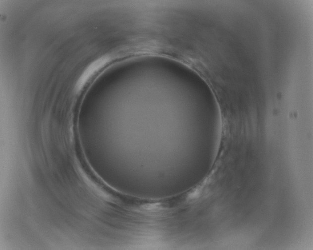 X0000076400054200610202140