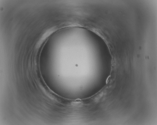 X0000076400055200610202140