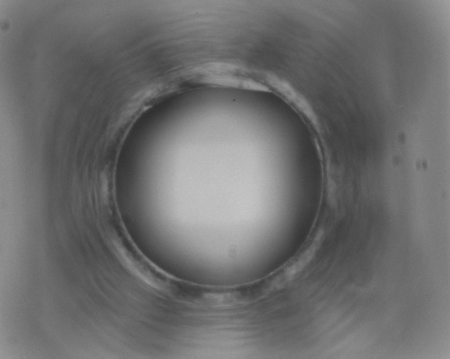 X0000076400057200610202140