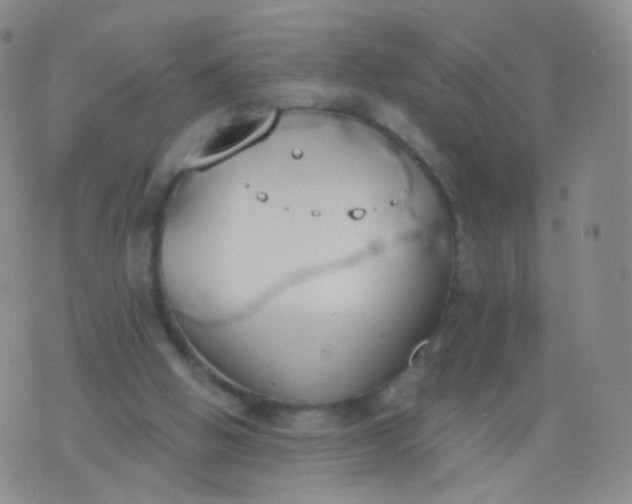 X0000076400058200610202140