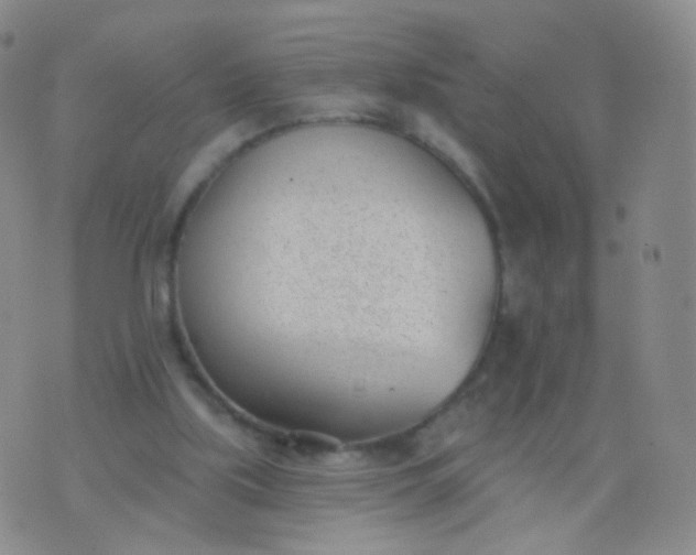 X0000076400059200610202140