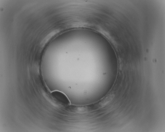 X0000076400060200610202140